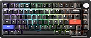 71gKfsUX3fL.__AC_SX300_SY300_QL70_ML2_ DrunkDeer A75 Mechanical Keyboard Review Compact 75% Layout RGB Gaming Keyboard Insights